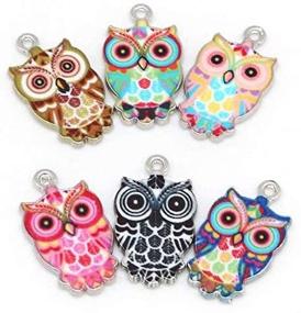 img 4 attached to 🦉 Vibrant Plated Alloy Enamel Owl Pendant Charms for DIY Jewelry Making - Set of 12 Colorful Assorted Styles