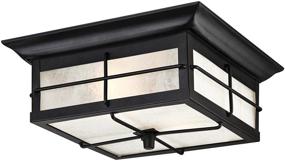 img 3 attached to 🏞️ Westinghouse Orwell 2-Light Outdoor Flush Mount Fixture, Textured Black – Enhance Product Name for Improved SEO