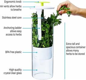 img 2 attached to Keep your Herbs Fresh for Weeks with NOVART XXL Premium Glass Herb Keeper and Storage Container