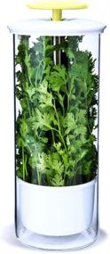 img 4 attached to Keep your Herbs Fresh for Weeks with NOVART XXL Premium Glass Herb Keeper and Storage Container