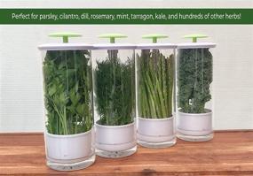 img 1 attached to Keep your Herbs Fresh for Weeks with NOVART XXL Premium Glass Herb Keeper and Storage Container