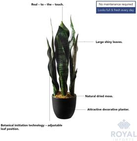 img 1 attached to 🌿 Королевский Импорт Искусственное Растение Сансевьерия - Природное Подобие Змеиного Растения Фальшивое Бельмо Тещин Язык Дерево - Темно-зеленый Декоративный Вазон - Высотой 19 дюймов - Купить Сейчас!