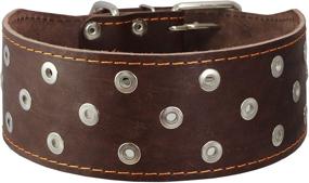 img 1 attached to 🐾 3 inch Extra Wide Heavy Duty Genuine Leather Studded Brown Leather Collar for XLarge Breeds - Bullmastiff, Saint Bernard (Fits Neck Size 23.5-28 inches) by Dogs My Love