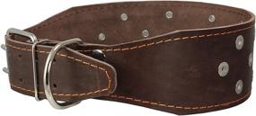 img 2 attached to 🐾 3 inch Extra Wide Heavy Duty Genuine Leather Studded Brown Leather Collar for XLarge Breeds - Bullmastiff, Saint Bernard (Fits Neck Size 23.5-28 inches) by Dogs My Love