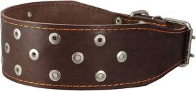 img 4 attached to 🐾 3 inch Extra Wide Heavy Duty Genuine Leather Studded Brown Leather Collar for XLarge Breeds - Bullmastiff, Saint Bernard (Fits Neck Size 23.5-28 inches) by Dogs My Love