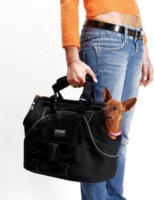 img 2 attached to 🐾 Petego Sporty Universal Plus Pet Carrier Bag