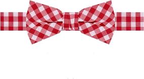 img 2 attached to Jacob Alexander Boys Gingham Bow Boys' Accessories at Bow Ties