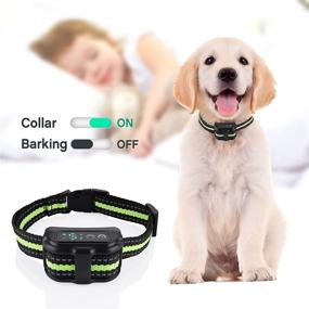 img 3 attached to Adjustable Sensitivity Levels Dual Anti Barking Rechargeable Dogs in Training & Behavior Aids