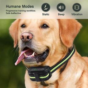 img 2 attached to Adjustable Sensitivity Levels Dual Anti Barking Rechargeable Dogs in Training & Behavior Aids