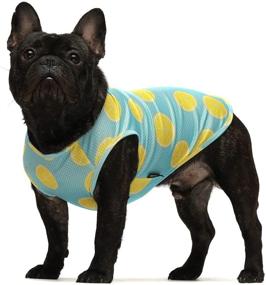 img 3 attached to 🍔 Fitwarm 2-Pack Dog Shirt Set: Hamburger & Lemon Design, Pet Clothes for Puppies, Doggies, and Cats, Breathable Tee Top