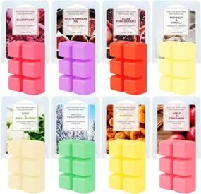 img 4 attached to SnailDigit Scented Wax Melts – Fall Wax Cubes, Halloween/Christmas Gift – Home Scented Wax – Pumpkin, Apple & Cinnamon, Mint & White Jasmine, Coconut & Vanilla and Fig – 8 Packs