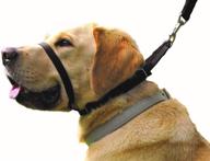 🐶 canny collar: the ultimate dog training and walking solution - achieve leash control and stop dogs from pulling! logo