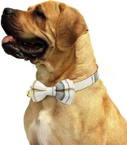 img 1 attached to 🐶 KUDES Plaid Dog Collar with Bow - 2 Pack/Set Adjustable & Cute Bow Tie Collars for Male Dogs - Beige & Brown