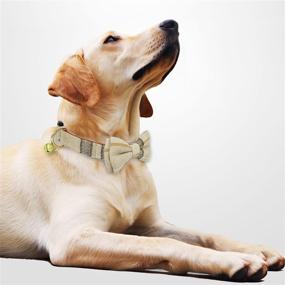 img 2 attached to 🐶 KUDES Plaid Dog Collar with Bow - 2 Pack/Set Adjustable & Cute Bow Tie Collars for Male Dogs - Beige & Brown