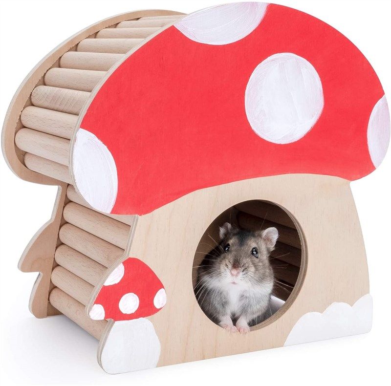 Hamster Mini House, Flat Top Wood Hide Home For Dwarf Hamsters, Rats,  Gerbils, Syrian, Mice, Small Animals Hideout Habitat Hut, Wooden Hamster  Hideaway Toys, Indoor Cave Cage Accessories 