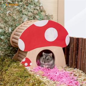 img 2 attached to Niteangel Hamster House with Climbing Ladder for 🐹 Hamsters, Gerbils, Mice, or Similar-Sized Pets: Optimal SEO-friendly Enclosure