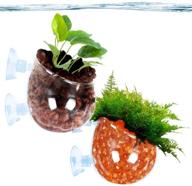 🌿 sungrow crystal aquarium planter, 2” x 2.3”, enhances floating illusion in your aquarium, pack of 2 with suction cups logo