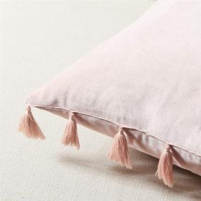 img 2 attached to 🛋️ Fancy Homi Pack of 2 Decorative Throw Pillow Covers with Handmade Tassels, Soft Velvet Peach Square Cushion Case Set for Couch Sofa Bedroom Car Living Room (18x18 Inch/45x45 cm, Blush Pink)