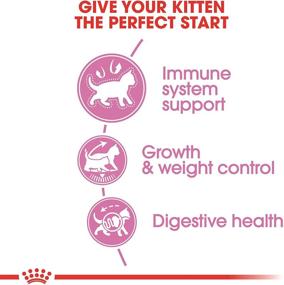 img 3 attached to Корм для котят Royal Canin Feline Health Nutrition после стерилизации/кастрации 🐱 сухой - 2.5 фунтовый пакет: оптимальное питание для растущих кошачьих питомцев.