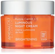 🥕 andalou natural purple carrot + c luminous night cream - powerful skincare with purple carrot and vitamin c, 1.7 ounce logo