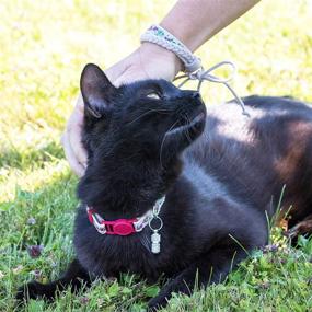 img 3 attached to 🐾 Pettsie Cat Kitten Collar - Breakaway Safety & Friendship Bracelet with ID Tag Tube - 100% Cotton for Extra Safety & Comfort - D-Ring for Accessories - Gift Box Included