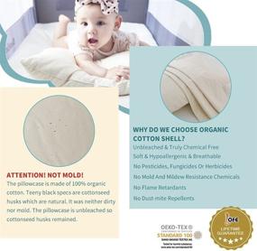img 2 attached to 👶 Lofe Organic Toddler Pillow with Pillowcase - 13X18 100% Organic Cotton Shell: Soft, Safe, and Hypoallergenic Baby Pillows for Sleeping