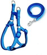 versatile jingwy nylon adjustable harness and leash set for dogs: choose your size and color! logo