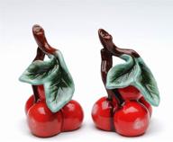 premium maraschino cherry cherries salt & pepper shaker set for stylish table décor logo