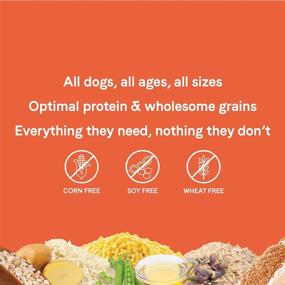 img 1 attached to Canidae All Life Stages Premium Dry Dog Food: Optimal Protein & Whole Grains for All Breeds, Ages & Sizes