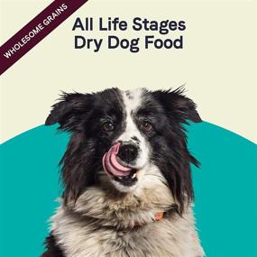 img 2 attached to Canidae All Life Stages Premium Dry Dog Food: Optimal Protein & Whole Grains for All Breeds, Ages & Sizes