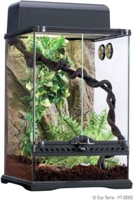 img 3 attached to 🦎 Complete Exo Terra Rainforest Habitat Kit with PT2602 - Small: The Ultimate Setup for Your Rainforest Reptiles and Amphibians