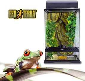 img 2 attached to 🦎 Complete Exo Terra Rainforest Habitat Kit with PT2602 - Small: The Ultimate Setup for Your Rainforest Reptiles and Amphibians