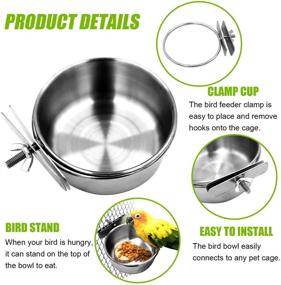 img 3 attached to 🐦 Premium 2 Pack Stainless Steel Bird Food Dish with Cage Clamp Holder + Bonus Bird Stand Toy - Perfect for Parrots, Conures, Cockatiels, Lovebirds, Budgies, and Chinchillas