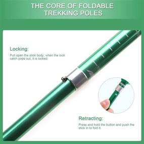 img 2 attached to 🥾 Collapsible Trekking Poles for Hiking: Single Pack - Aviation Aluminum Alloy Telescopic with Elastic Lock, Ideal for Adults, Kids, Men and Women