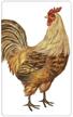 mary lake thompson brown rooster flour logo
