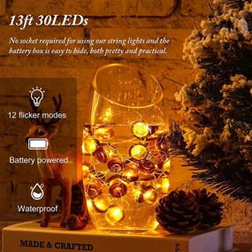 img 2 attached to 🍁 10 Feet 30 LED 3D Acorn Thanksgiving String Lights - Fall Acorn Lights with Remote Timer, 12 Modes, Waterproof Battery Powered for Fall, Thanksgiving, Autumn, Christmas Indoor Outdoor Decor