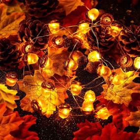 img 3 attached to 🍁 10 Feet 30 LED 3D Acorn Thanksgiving String Lights - Fall Acorn Lights with Remote Timer, 12 Modes, Waterproof Battery Powered for Fall, Thanksgiving, Autumn, Christmas Indoor Outdoor Decor