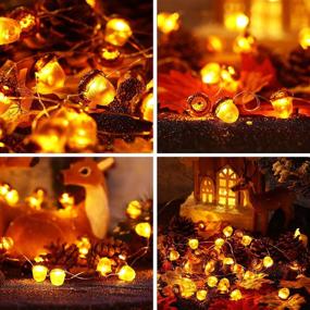 img 1 attached to 🍁 10 Feet 30 LED 3D Acorn Thanksgiving String Lights - Fall Acorn Lights with Remote Timer, 12 Modes, Waterproof Battery Powered for Fall, Thanksgiving, Autumn, Christmas Indoor Outdoor Decor