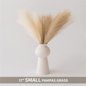 img 3 attached to ChagoArt-Pampas Grass Decor: Elegant Floral Arrangement with Faux Pampas Grass - 6 Stems in Beige and Taupe-Brown - Perfect for Vase Display - Lifelike Artificial Dried Pampas Grass - Large Branches