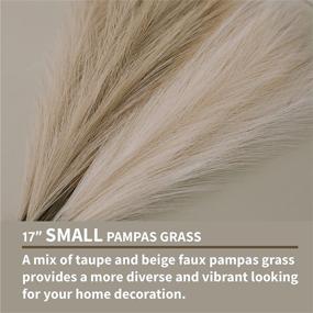 img 1 attached to ChagoArt-Pampas Grass Decor: Elegant Floral Arrangement with Faux Pampas Grass - 6 Stems in Beige and Taupe-Brown - Perfect for Vase Display - Lifelike Artificial Dried Pampas Grass - Large Branches