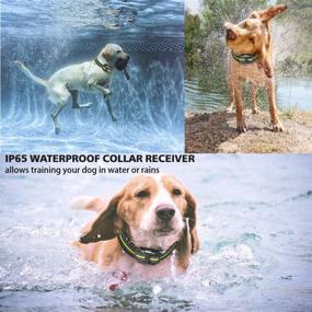 img 2 attached to Patroaint Waterproof Dog Training Collar - Three Training Modes, Extended Range up to 2600Ft