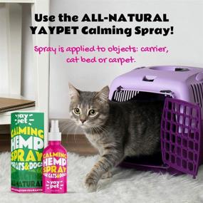 img 2 attached to 🌿 YAYPET Calming Spray for Cats and Dogs - Pheromones & Natural Herbs for Anxiety Reduction, Relaxation. Vet Visits, Travel, Thunder Relief, and More.