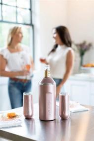 img 2 attached to 🍾 Vinglace Wine Chiller - Ultimate Portable Insulator Sleeve for Champagne and Wine bottles - Double Walled Stainless Steel and Glass Design - Ideal Gifts for Wine Lovers (Rose Gold Edition)