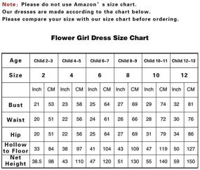 img 1 attached to 👗 Children's Tulle Flower Girls Dresses - Elegant Cinderella Princess Pageant Ball Gowns for Girls