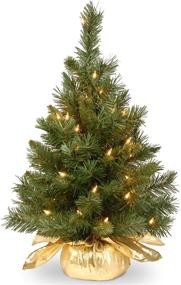 img 4 attached to 🎄 2ft National Tree Company Pre-lit Artificial Mini Christmas Tree - Majestic Fir, with Small Lights and Cloth Bag Base
