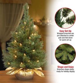 img 1 attached to 🎄 2ft National Tree Company Pre-lit Artificial Mini Christmas Tree - Majestic Fir, with Small Lights and Cloth Bag Base