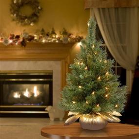 img 3 attached to 🎄 2ft National Tree Company Pre-lit Artificial Mini Christmas Tree - Majestic Fir, with Small Lights and Cloth Bag Base