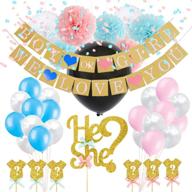 🎉 festive wishel gender reveal party decoration: boy or girl banner + 9pcs 12" paper pom poms set for baby shower, newborn baby celebration logo