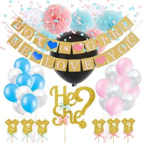 img 1 attached to 🎉 Festive Wishel Gender Reveal Party Decoration: Boy or Girl Banner + 9pcs 12" Paper Pom Poms Set for Baby Shower, Newborn Baby Celebration