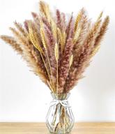 natural wheat 40 pampass flowers decoration logo